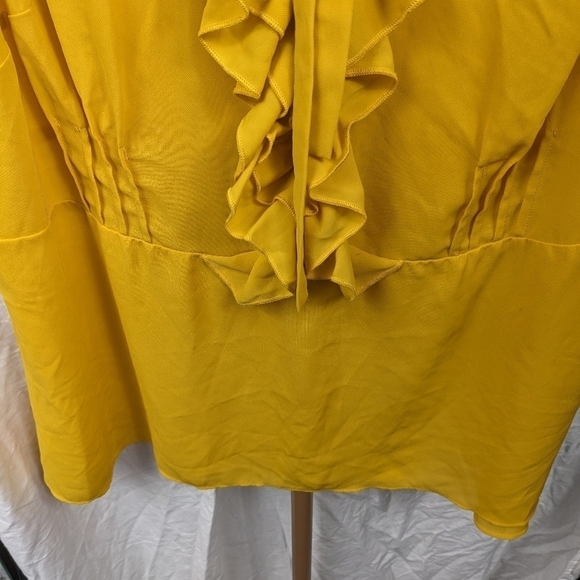 Eloquii Chiffon Ruffle Front Sleeveless Top Sz 18 - Picture 4 of 10